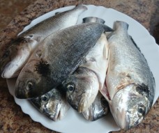 Дорада в фольге со сметанным соусом