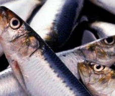 ЯЙЦА ИЗ ТВОРОГА