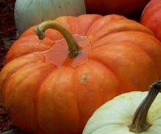 ЗАПЕКАНКА ИЗ ТВОРОГА  С ТЫКВОЙ