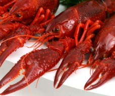 РАКИ ОТВАРНЫЕ С КОРЕНЬЯМИ